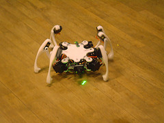 Oooh! Its a spider! A robot! A robot Spider!
